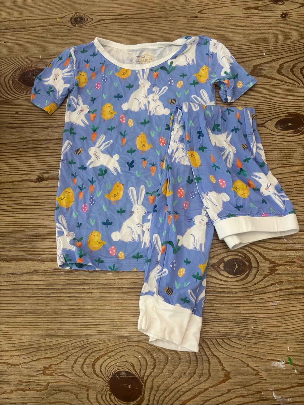 Little Sleepies bamboo Spring print 2 piece short sleeve pajamas 5/6